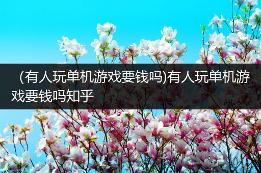 （有人玩单机游戏要钱吗)有人玩单机游戏要钱吗知乎