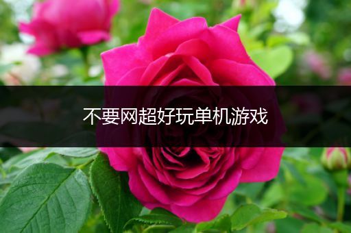 不要网超好玩单机游戏
