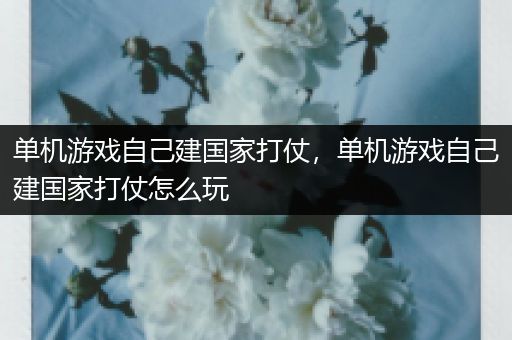 单机游戏自己建国家打仗，单机游戏自己建国家打仗怎么玩