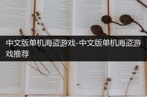 中文版单机海盗游戏-中文版单机海盗游戏推荐