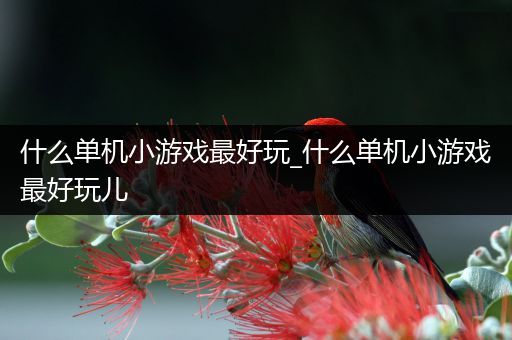 什么单机小游戏最好玩_什么单机小游戏最好玩儿