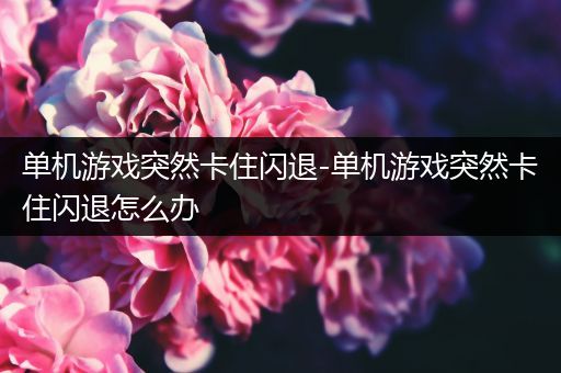 单机游戏突然卡住闪退-单机游戏突然卡住闪退怎么办