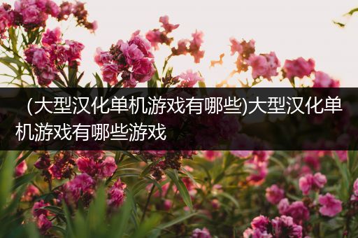 （大型汉化单机游戏有哪些)大型汉化单机游戏有哪些游戏
