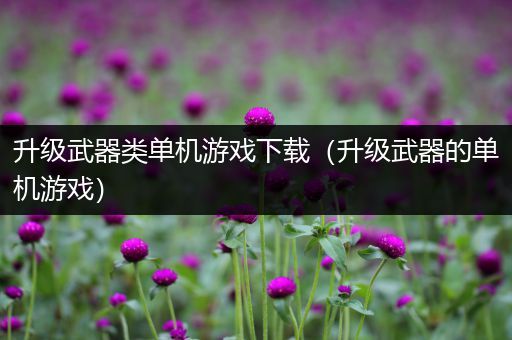 升级武器类单机游戏下载（升级武器的单机游戏）