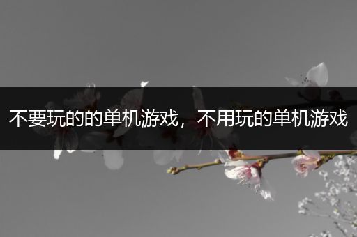 不要玩的的单机游戏，不用玩的单机游戏