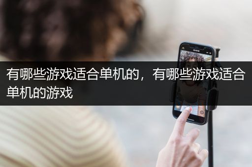 有哪些游戏适合单机的，有哪些游戏适合单机的游戏