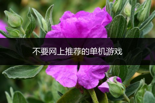 不要网上推荐的单机游戏