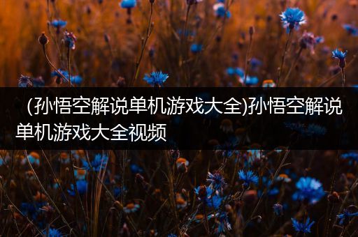 （孙悟空解说单机游戏大全)孙悟空解说单机游戏大全视频