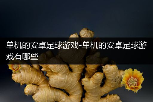 单机的安卓足球游戏-单机的安卓足球游戏有哪些
