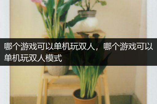 哪个游戏可以单机玩双人，哪个游戏可以单机玩双人模式