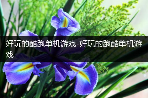 好玩的酷跑单机游戏-好玩的跑酷单机游戏
