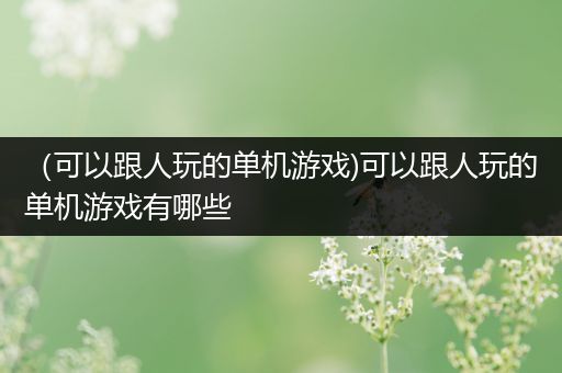 （可以跟人玩的单机游戏)可以跟人玩的单机游戏有哪些