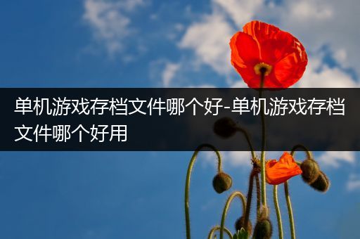 单机游戏存档文件哪个好-单机游戏存档文件哪个好用