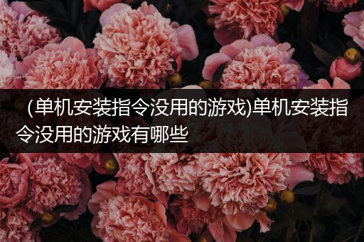 （单机安装指令没用的游戏)单机安装指令没用的游戏有哪些