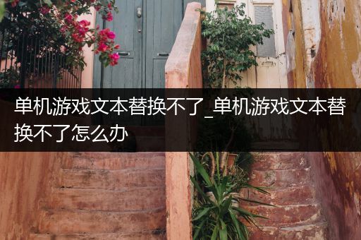 单机游戏文本替换不了_单机游戏文本替换不了怎么办
