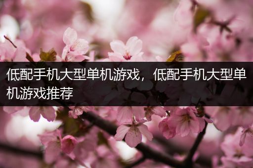 低配手机大型单机游戏，低配手机大型单机游戏推荐