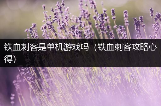 铁血刺客是单机游戏吗（铁血刺客攻略心得）