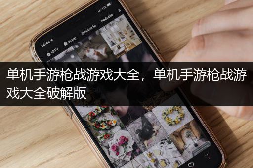 单机手游枪战游戏大全，单机手游枪战游戏大全破解版