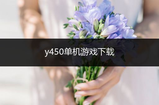 y450单机游戏下载
