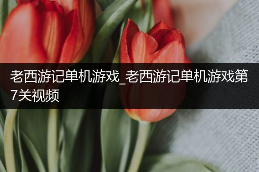 老西游记单机游戏_老西游记单机游戏第7关视频