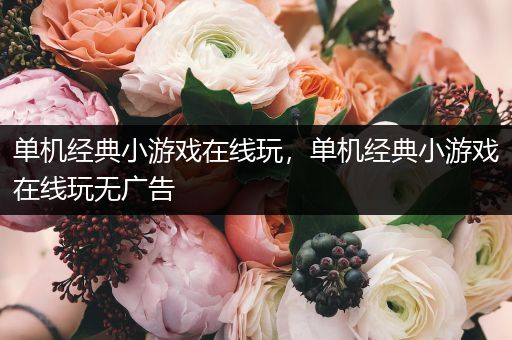单机经典小游戏在线玩，单机经典小游戏在线玩无广告