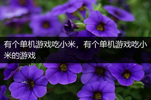 有个单机游戏吃小米，有个单机游戏吃小米的游戏