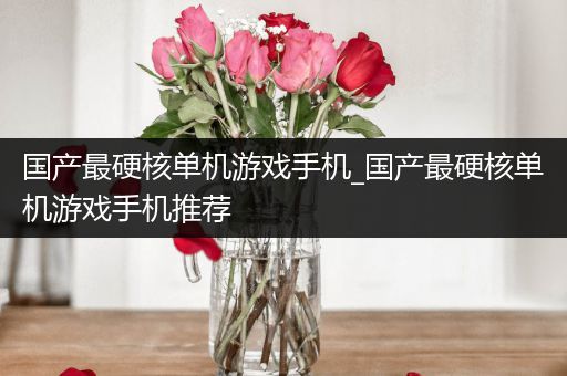 国产最硬核单机游戏手机_国产最硬核单机游戏手机推荐