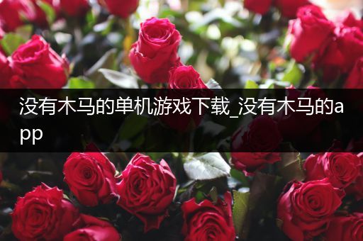 没有木马的单机游戏下载_没有木马的app