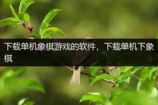 下载单机象棋游戏的软件，下载单机下象棋