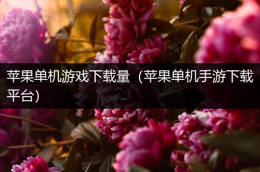 苹果单机游戏下载量（苹果单机手游下载平台）