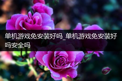 单机游戏免安装好吗_单机游戏免安装好吗安全吗