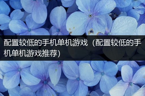 配置较低的手机单机游戏（配置较低的手机单机游戏推荐）