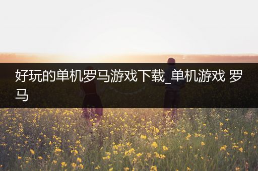 好玩的单机罗马游戏下载_单机游戏 罗马