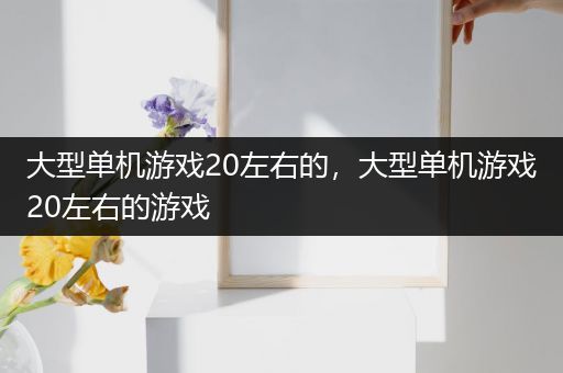 大型单机游戏20左右的，大型单机游戏20左右的游戏