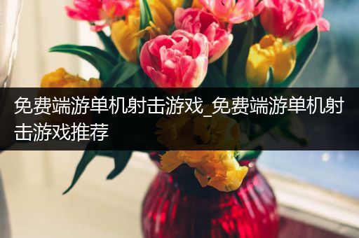 免费端游单机射击游戏_免费端游单机射击游戏推荐