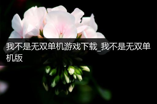 我不是无双单机游戏下载_我不是无双单机版