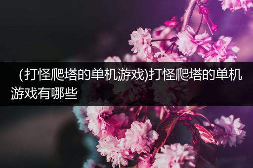（打怪爬塔的单机游戏)打怪爬塔的单机游戏有哪些