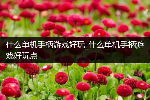 什么单机手柄游戏好玩_什么单机手柄游戏好玩点