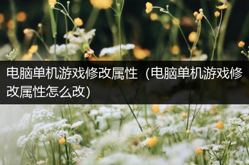 电脑单机游戏修改属性（电脑单机游戏修改属性怎么改）