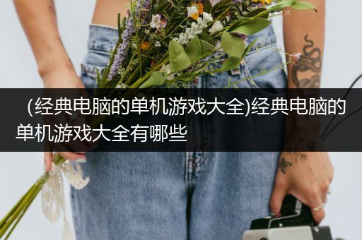 （经典电脑的单机游戏大全)经典电脑的单机游戏大全有哪些