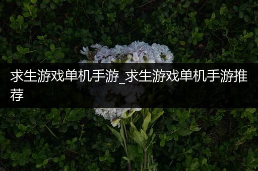 求生游戏单机手游_求生游戏单机手游推荐