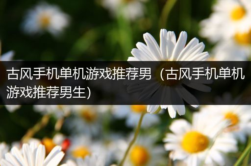 古风手机单机游戏推荐男（古风手机单机游戏推荐男生）