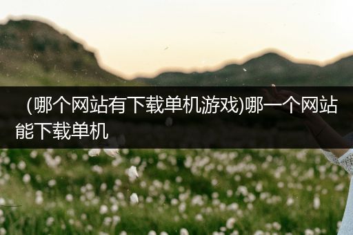 （哪个网站有下载单机游戏)哪一个网站能下载单机