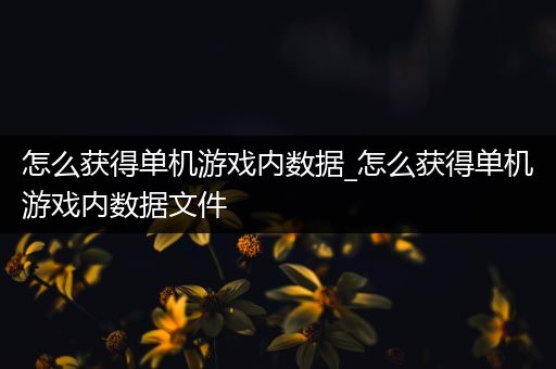 怎么获得单机游戏内数据_怎么获得单机游戏内数据文件