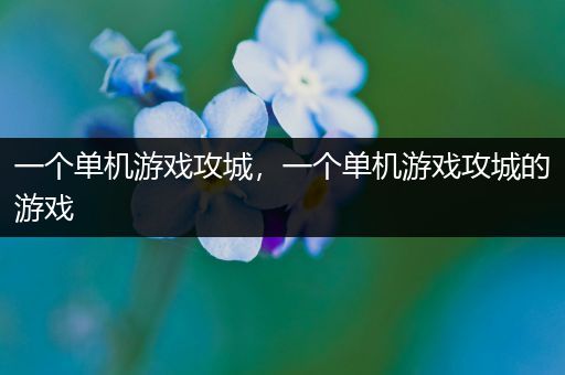 一个单机游戏攻城，一个单机游戏攻城的游戏