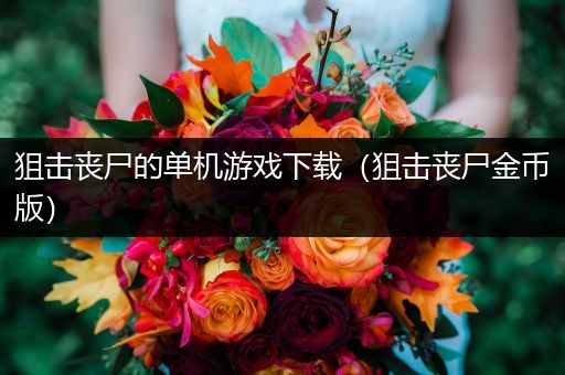 狙击丧尸的单机游戏下载（狙击丧尸金币版）