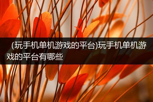（玩手机单机游戏的平台)玩手机单机游戏的平台有哪些