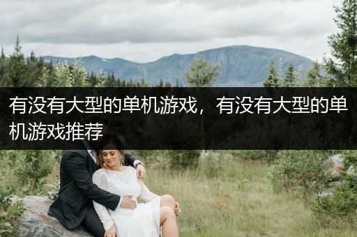 有没有大型的单机游戏，有没有大型的单机游戏推荐