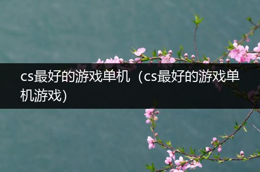 cs最好的游戏单机（cs最好的游戏单机游戏）