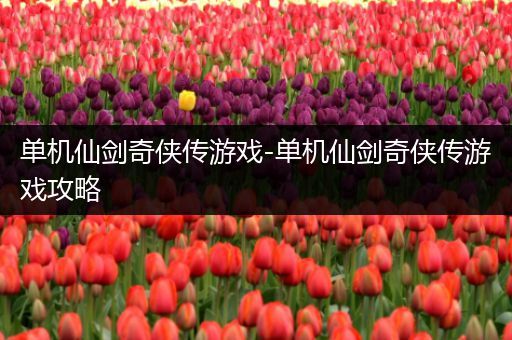 单机仙剑奇侠传游戏-单机仙剑奇侠传游戏攻略